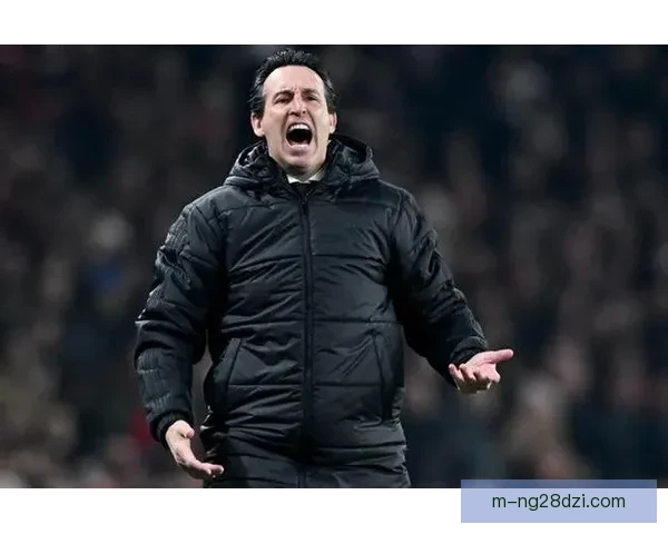 埃梅里称曼城阿森纳是争冠热门